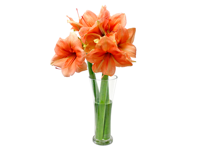 Florist Flower in Vase - Florist decor in Vase R1 - L3135066 Photo